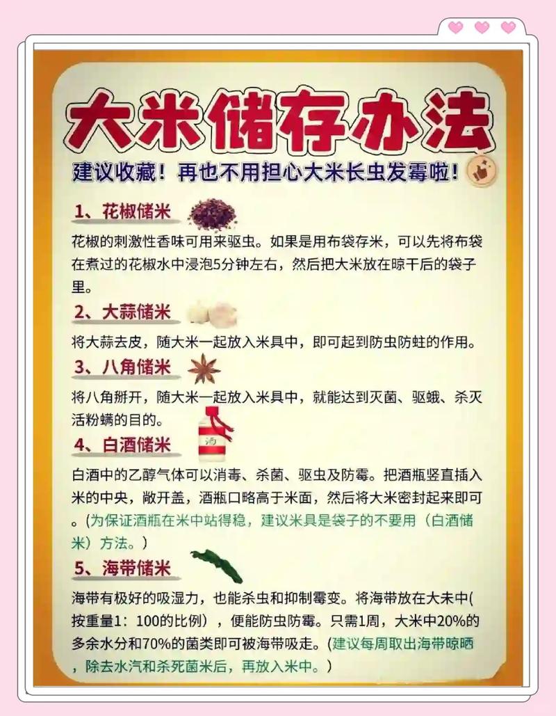 日常储存做好这几点，从源头减少生虫