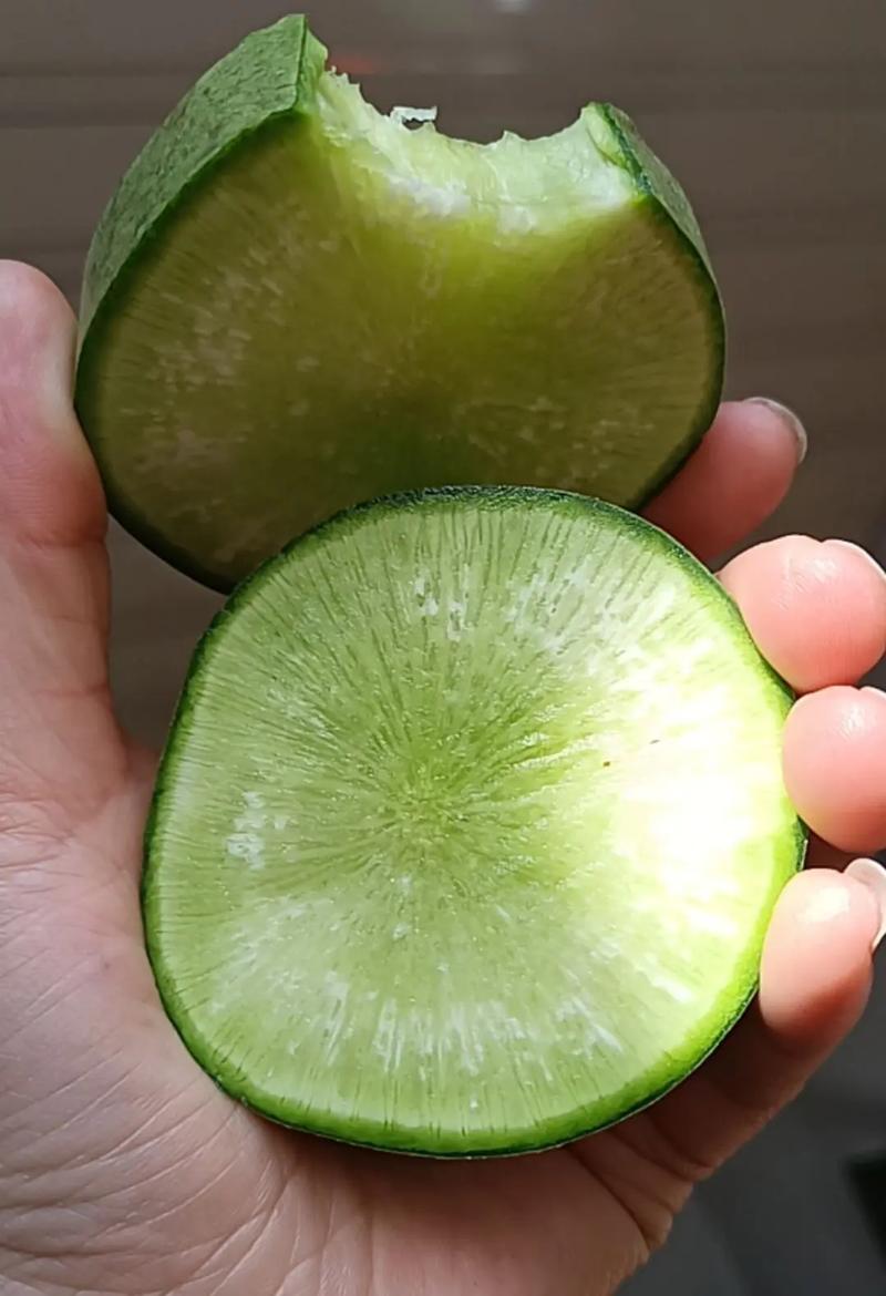 立春咬春白萝卜特写摄影