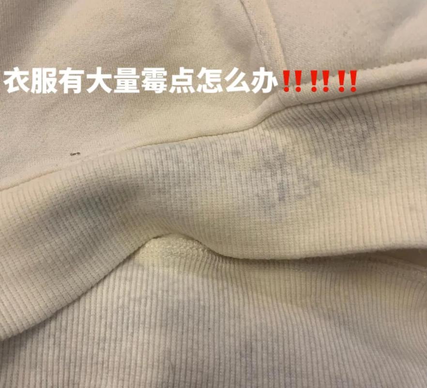 羊毛衫真空存放后出现霉斑