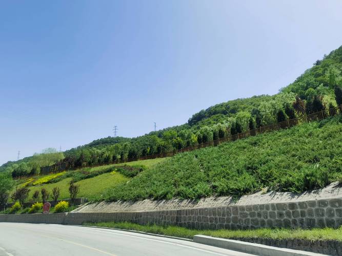黄土高原生态护坡植被固坡工程实景图