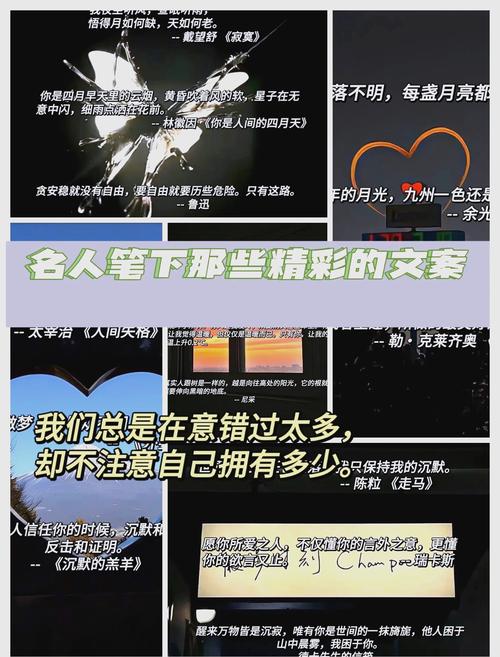 三家对比后,我选择了沉默