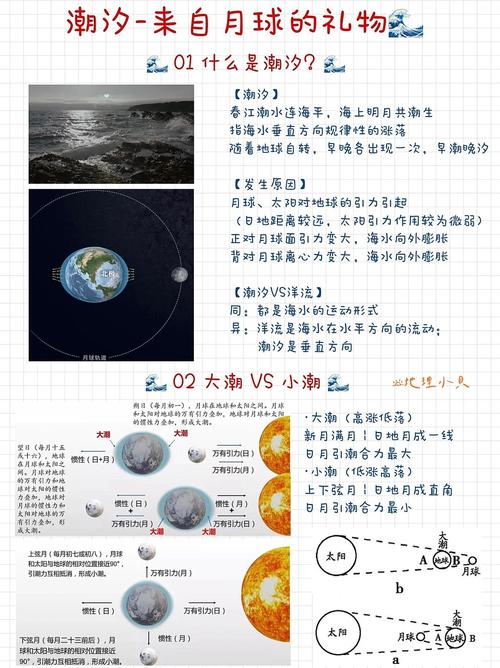 那些年我们信错的潮汐常识