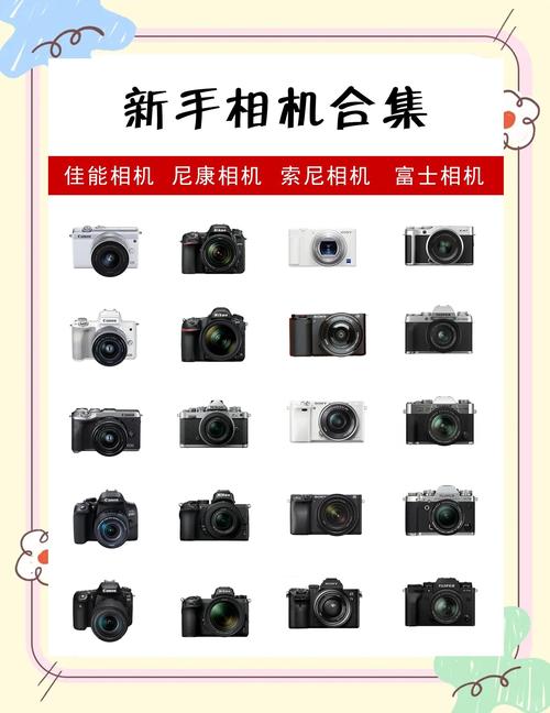 新手相机选购指南 各种品牌相机实物对比