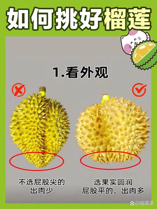不同情况怎么选？对着挑，看完你就会