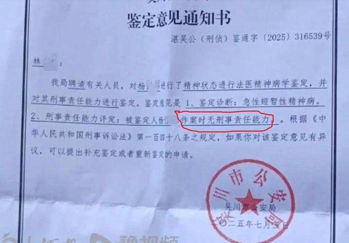 3. 怎么证明精神损害“严重”?