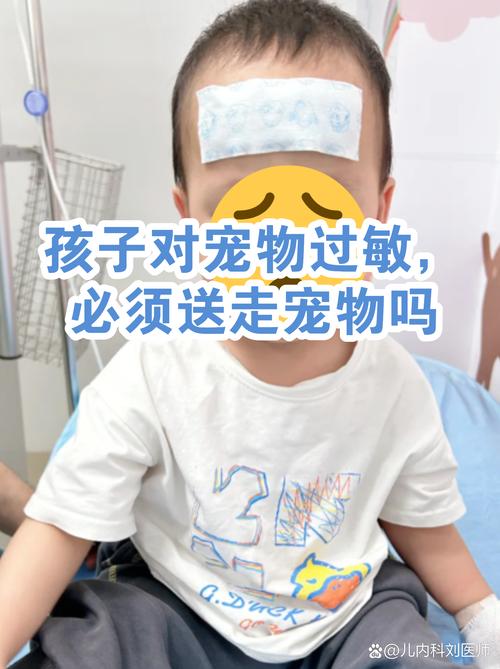 真过敏也不用送走毛孩子的折中方案