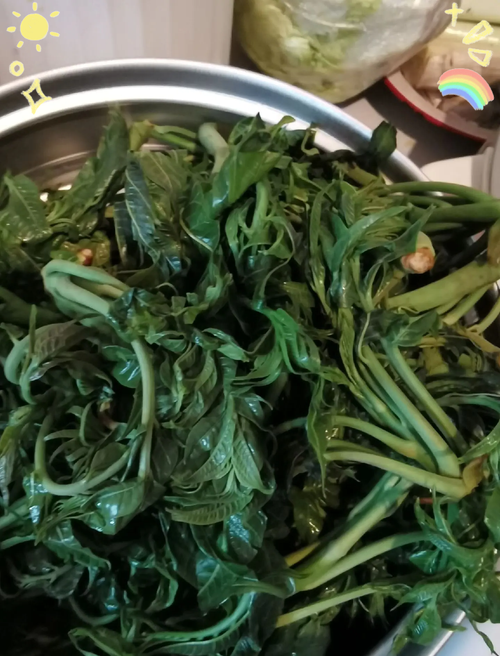 香椿芽焯水后团成球冷冻保存