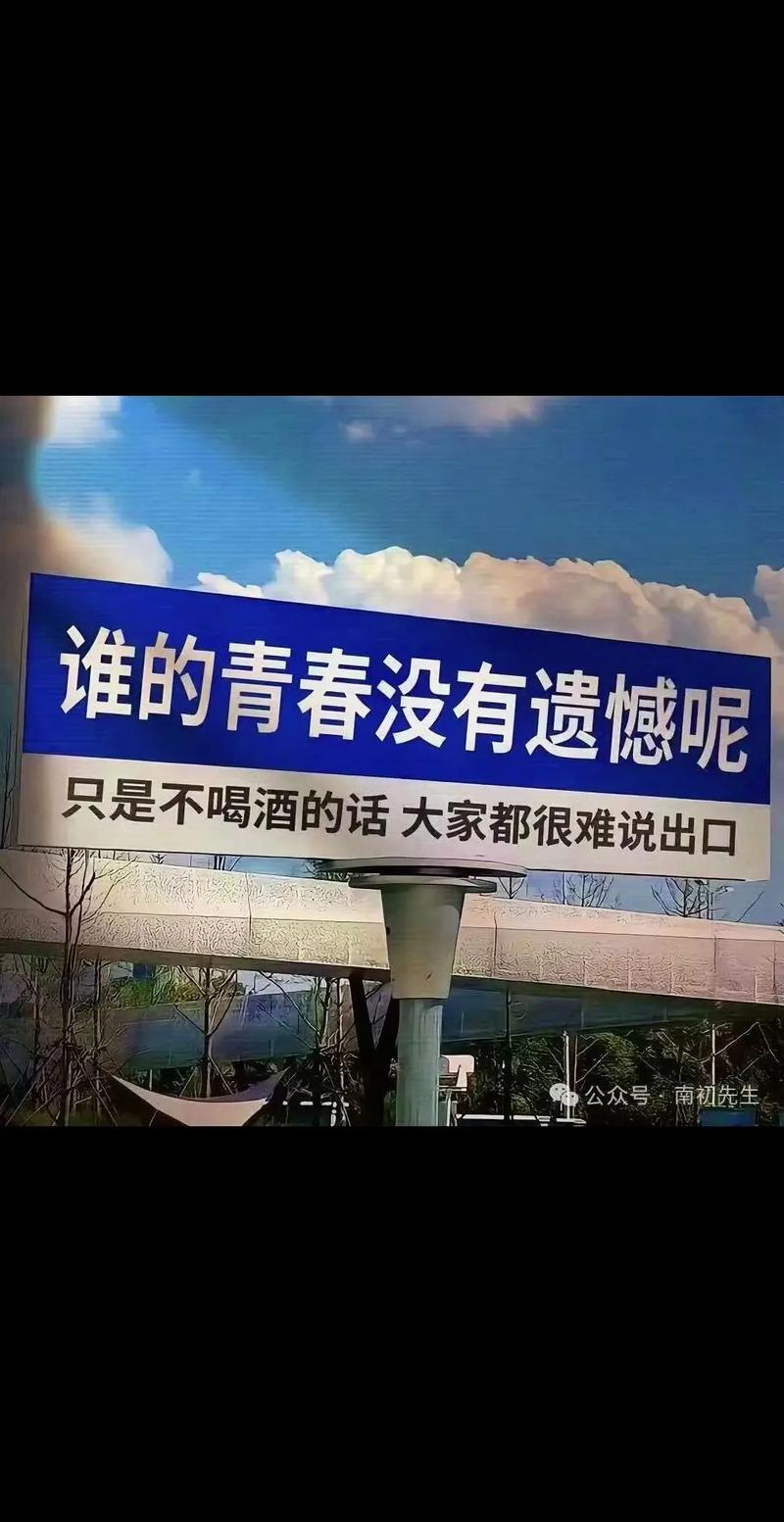 没说出口的话