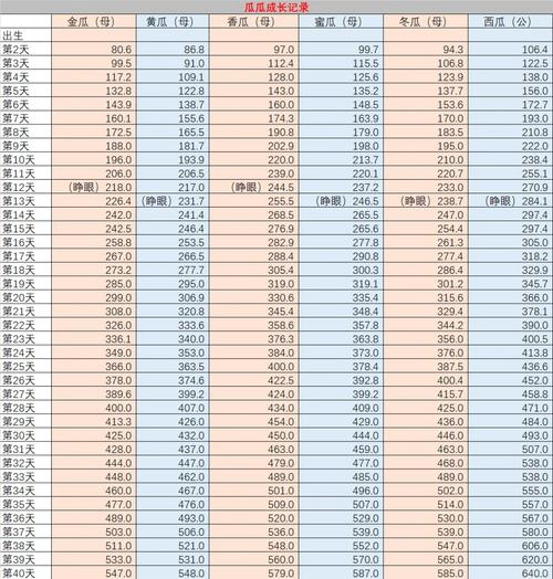 生骨肉喂养新手换粮进度记录表