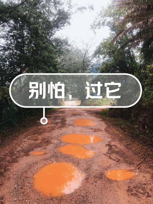 别害怕，情感萌芽从来不是洪水猛兽