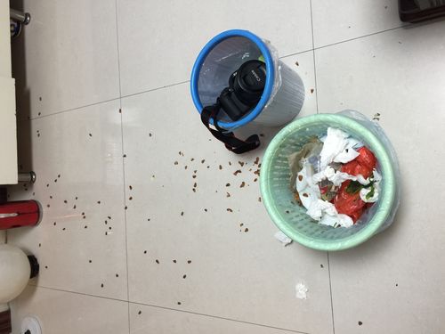 家庭自制宠物鲜食微生物交叉污染场景图