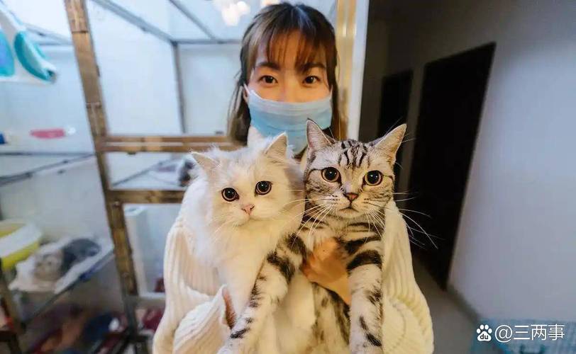 你以为的“上门喂猫”，其实和寄养差远了