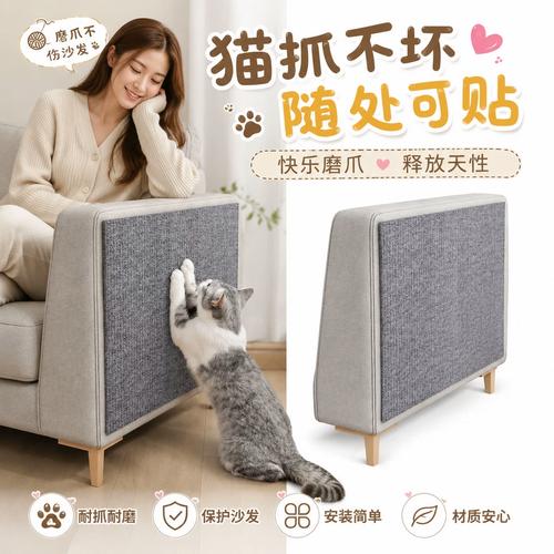 客厅沙发旁立式猫抓板摆放实景图