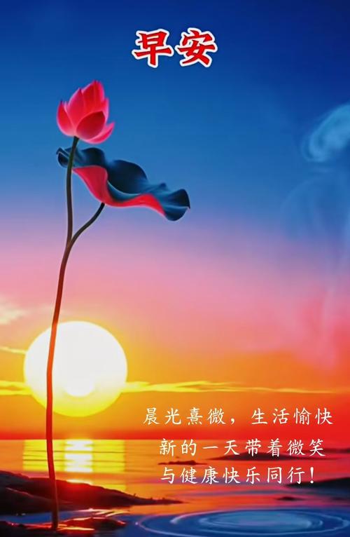 后话:别指望有人替你“推荐”完美答案