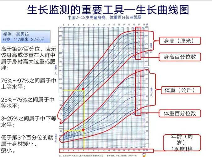 生长曲线百分位区域解读示意图