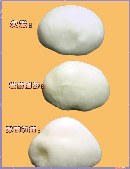 面团发酵状态判断示意图