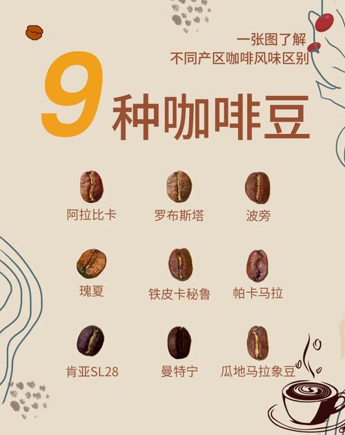 不同产区单一咖啡豆分装试喝展示