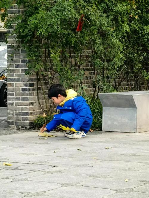 重工家属院梧桐树下玩耍的小朋友
