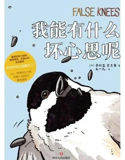 那天的调解,谁都没抱着坏心思