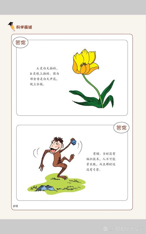 从“画图解题”到“文本深潜”，LSAT在逼我们进化