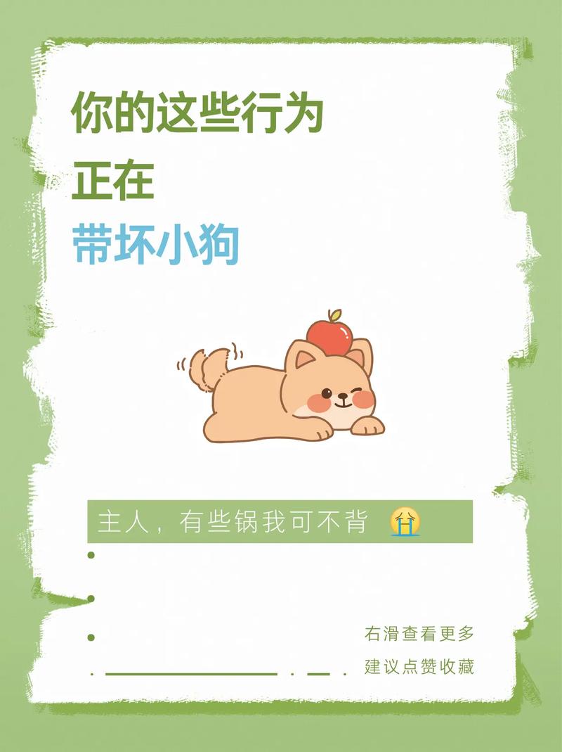 这些错误用法，正在悄悄伤害你的毛孩子
