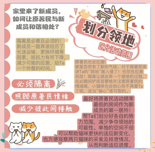 多宠家庭新宠进门隔离布置示意图