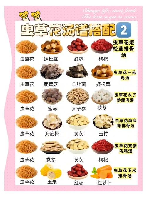 日常煲汤食材分类搭配图