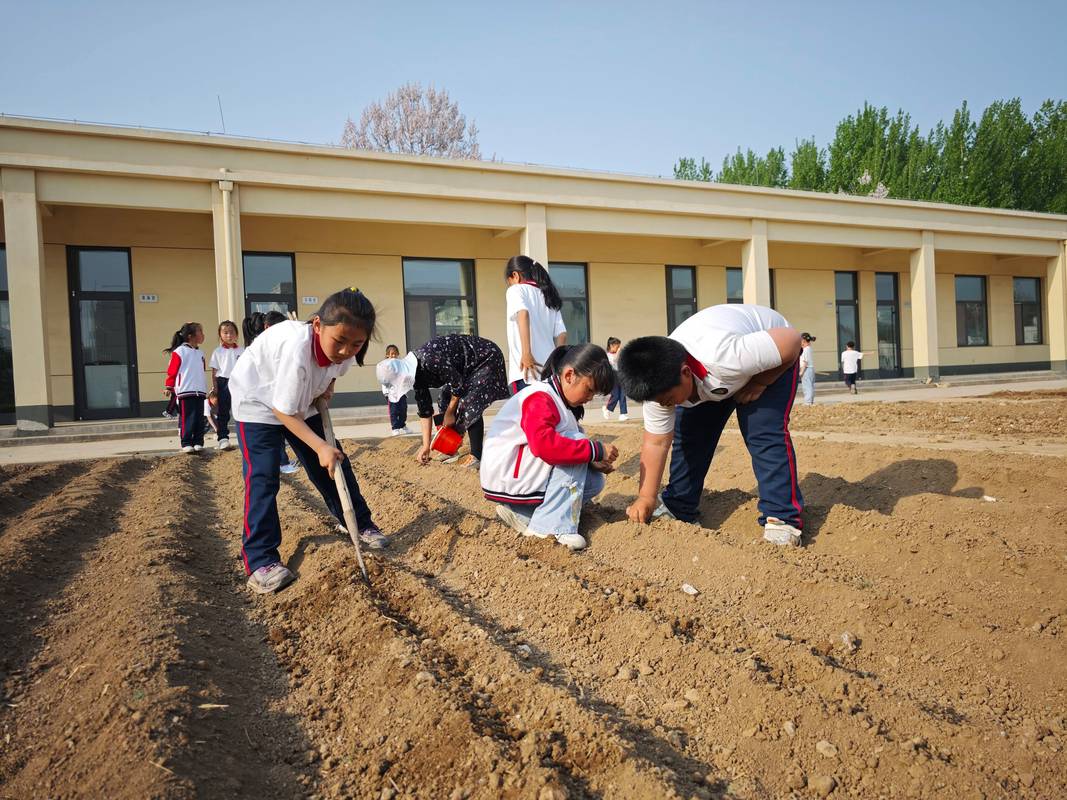 义务教育学校学生户外劳动实践课