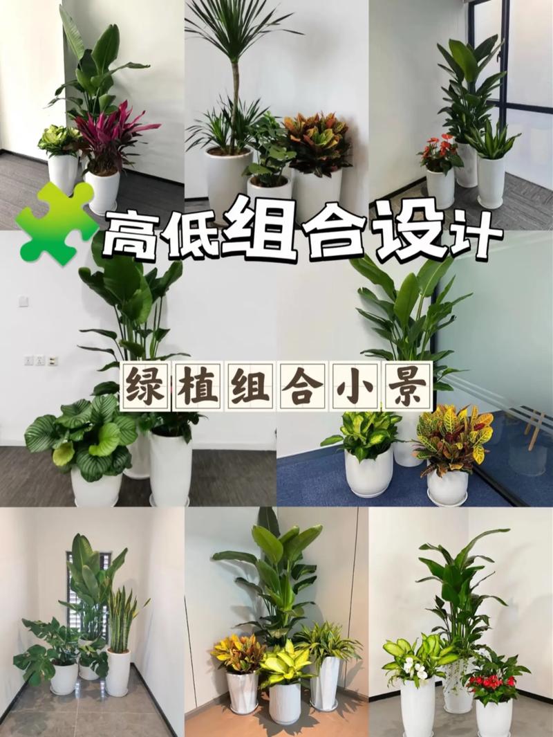 窗台绿植高低错落花盆配色示意图