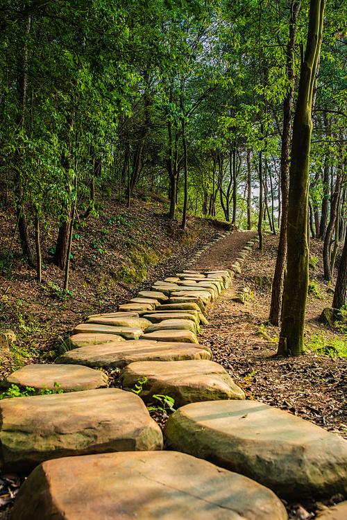 南漳七里山森林公园林间石板步道
