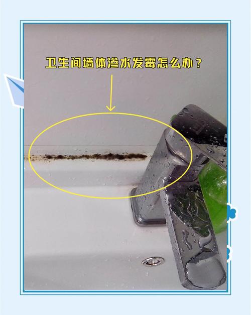 💧 噩梦终结：彻底解决渗水发霉