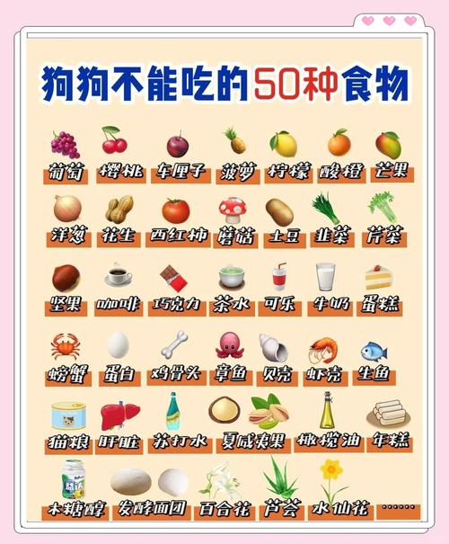 狗狗挑食拒绝进食 对比图