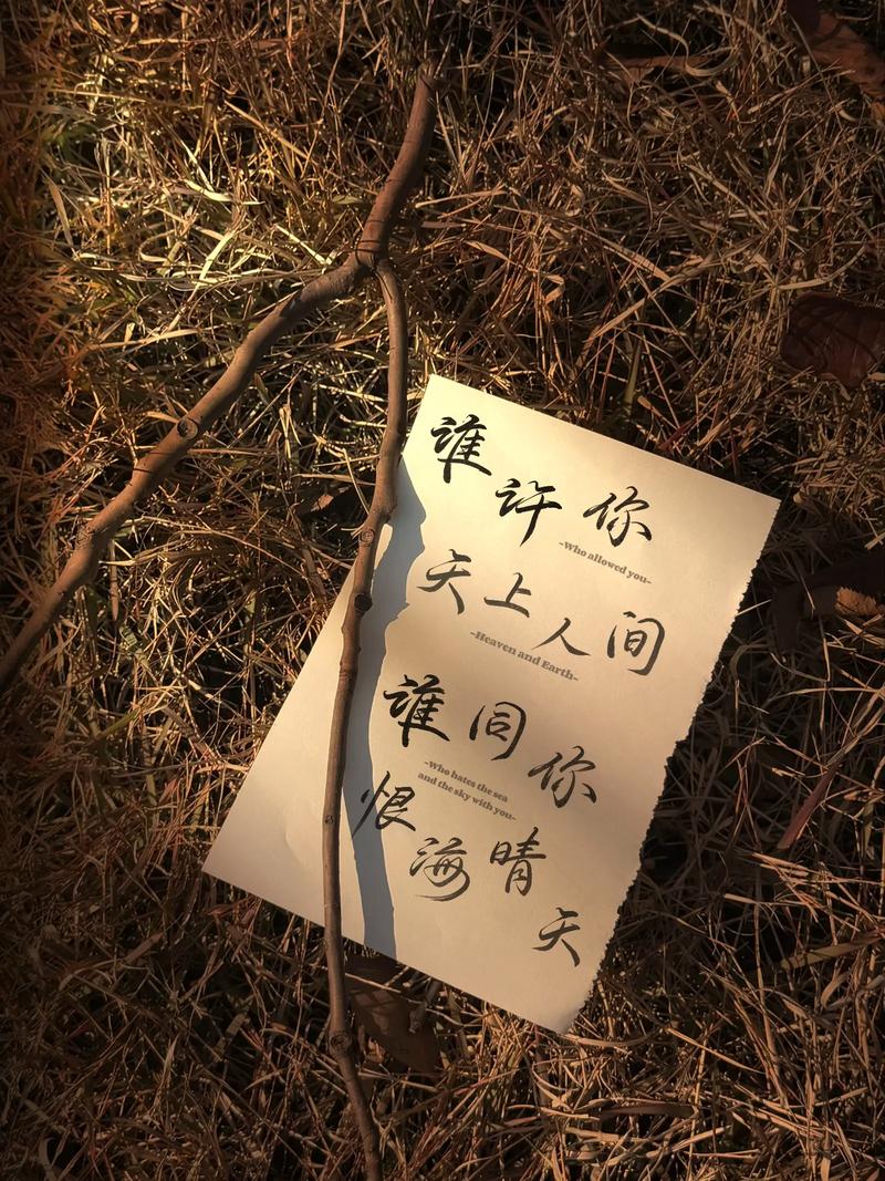 纪念品的虚妄:除了回忆,什么都不该带走