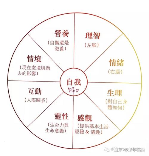 松弛有度养育边界与自主关系示意图