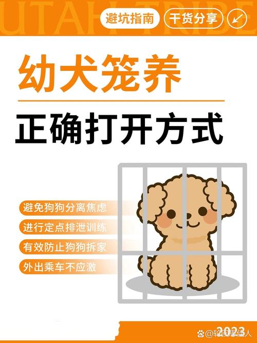 正确宠物笼养，做好这几件事就够