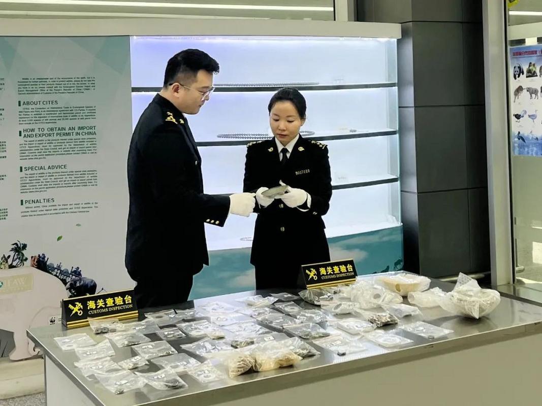 海关口岸禁止出境文物检查现场