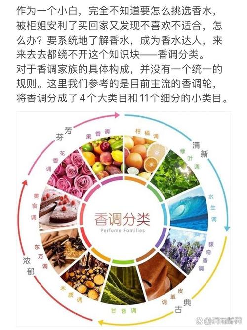 香水香调轮图新手入门科普