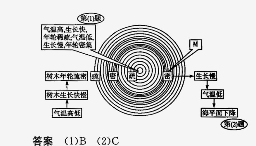 年轮与气候历史对比图表 树木年代学