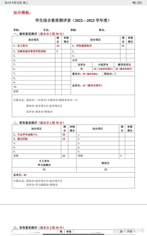 综合评价网申材料整理排序示例