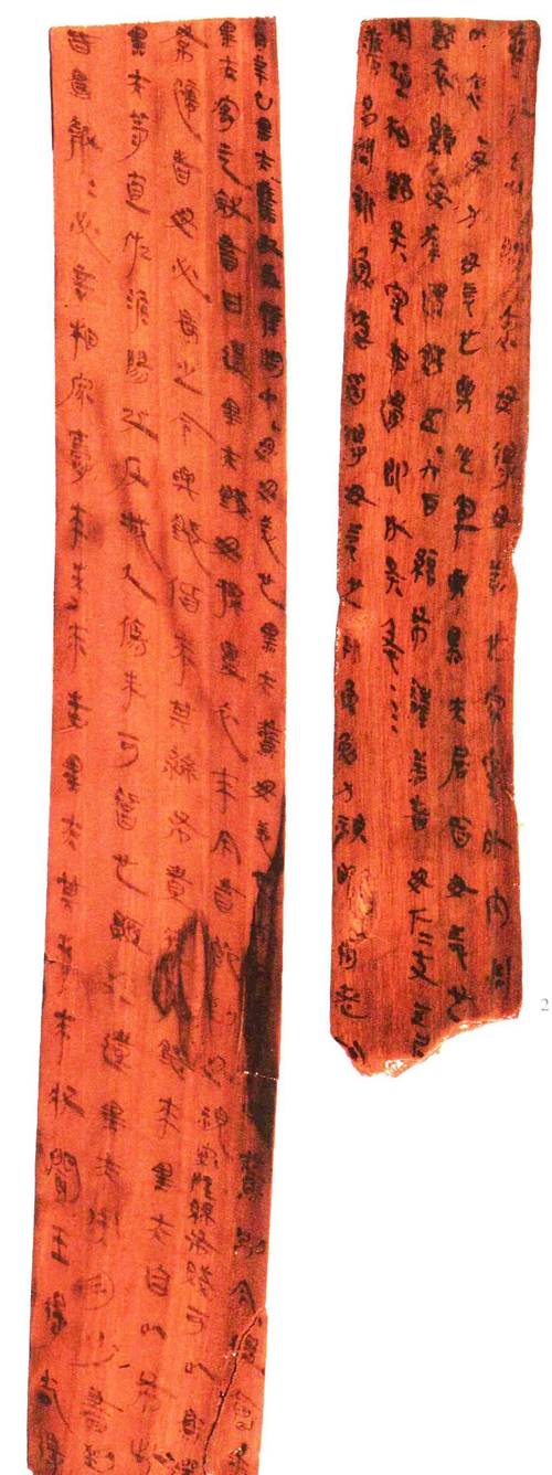 儿童和家长一起查看睡虎地秦简竹简图片