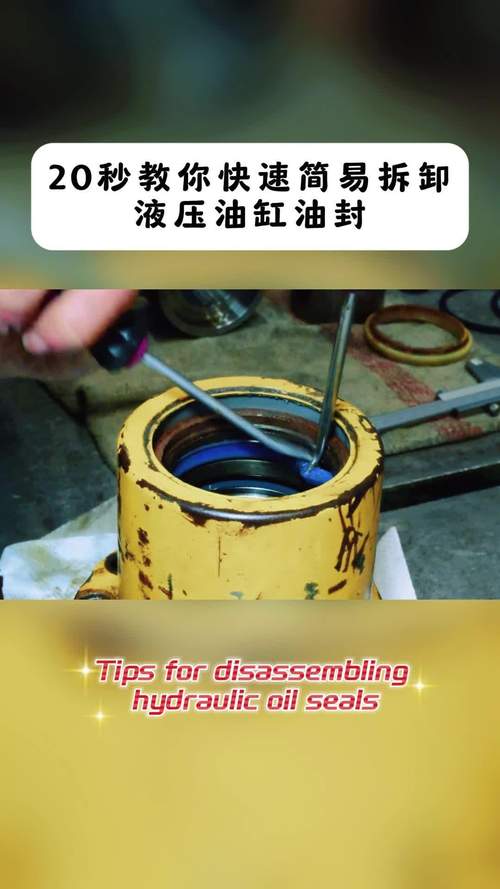 液压设备拆解后失效密封件