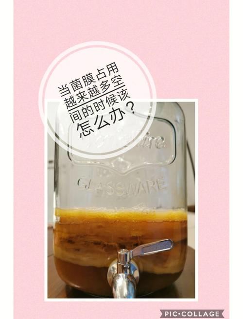 自制康普茶发酵过程中表面菌膜变化特写图