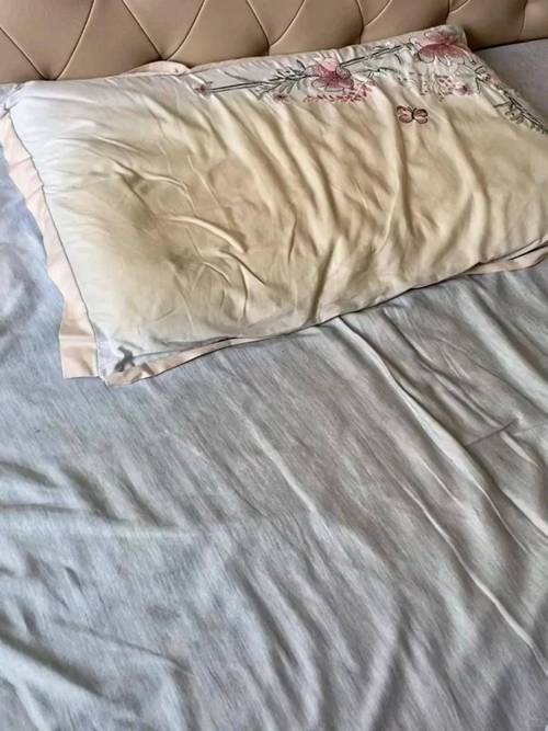 日常拆换卧室枕套夹层灰尘实拍
