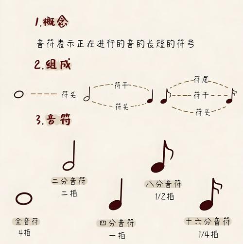 五线谱二分音符与四分音符对比示意图