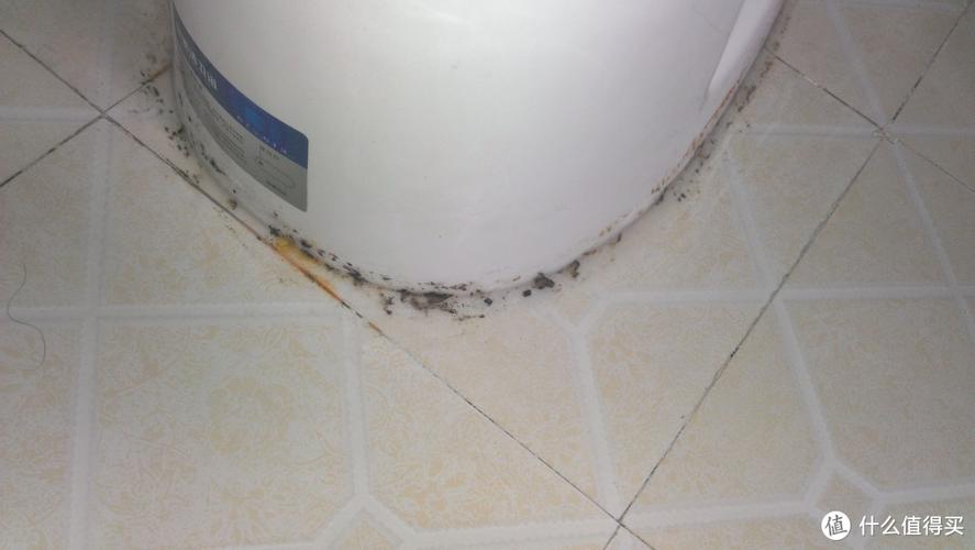 卫生间马桶底座缝隙发霉实景图