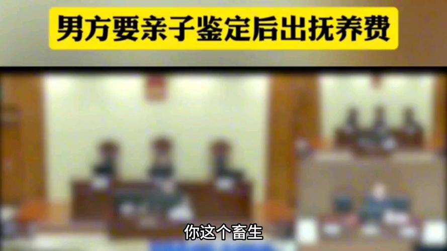 法庭上男方拒绝亲子鉴定瞬间