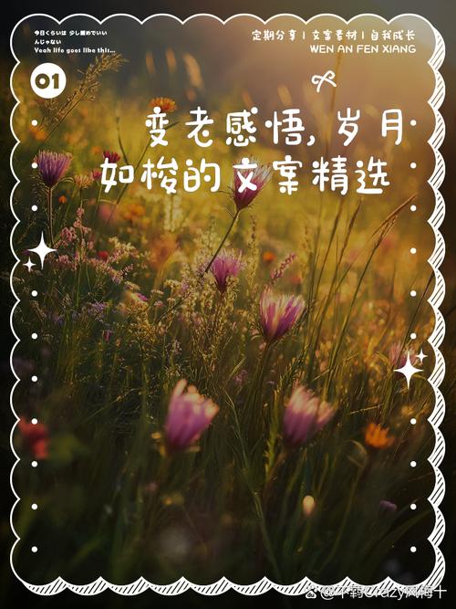 感悟：老之将至，依然热爱