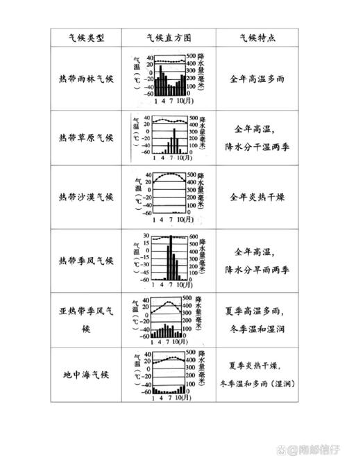 初中生手绘气候类型气温降水柱状图