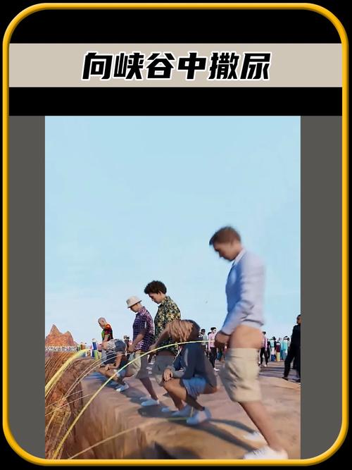 接下来会发生什么？