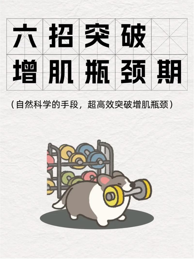 增肌卡瓶颈了怎么破?说点实操的